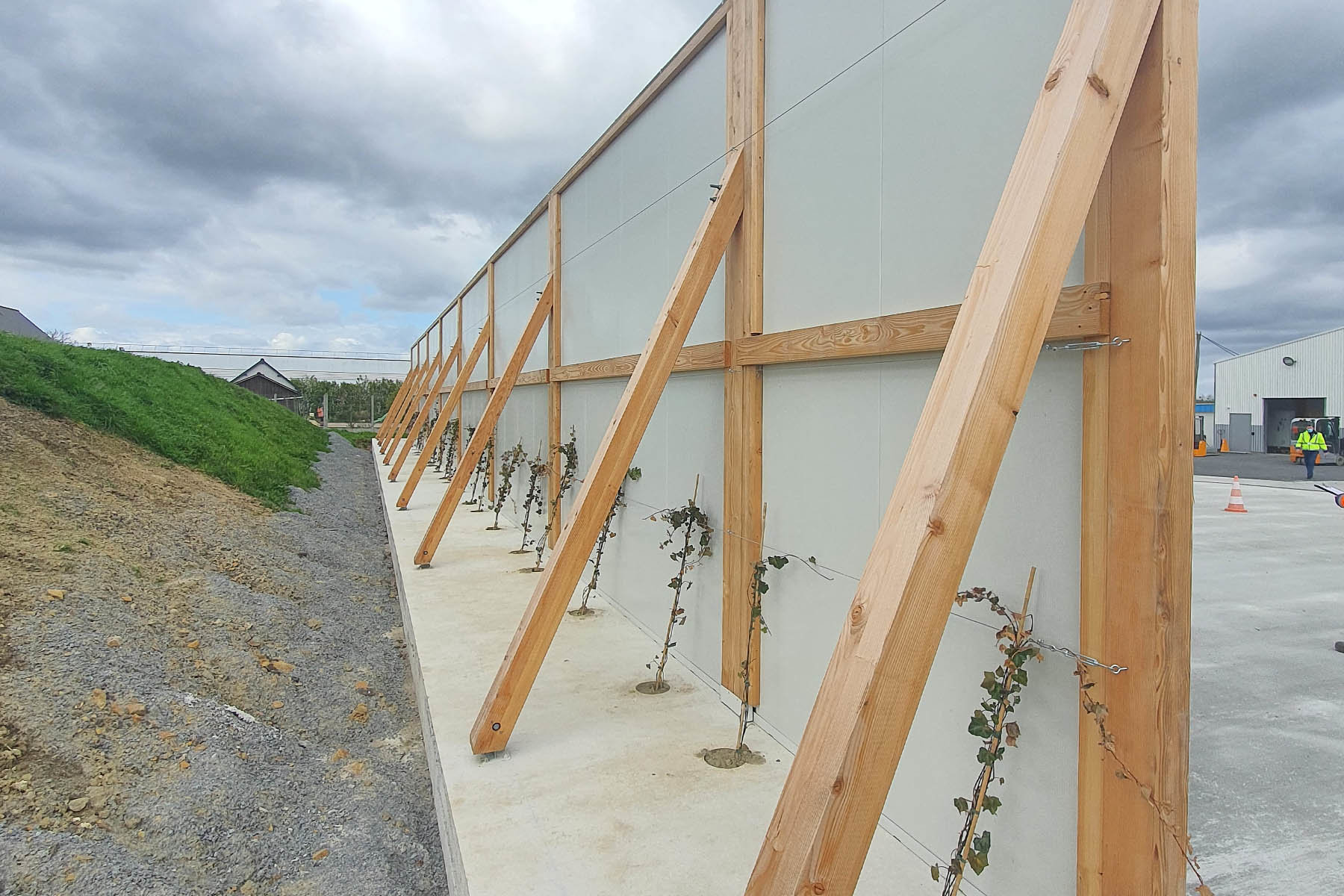 ecran-acoustique-bois-biomerieux