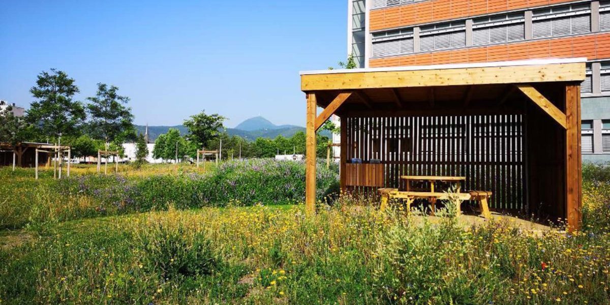 auvents-collectifs-bois-michelin-clermont-ferrand