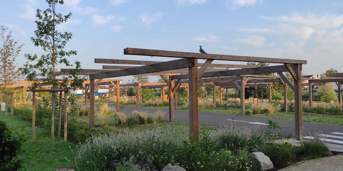 pergola-bois-vegetalisee-moneteau-yonne