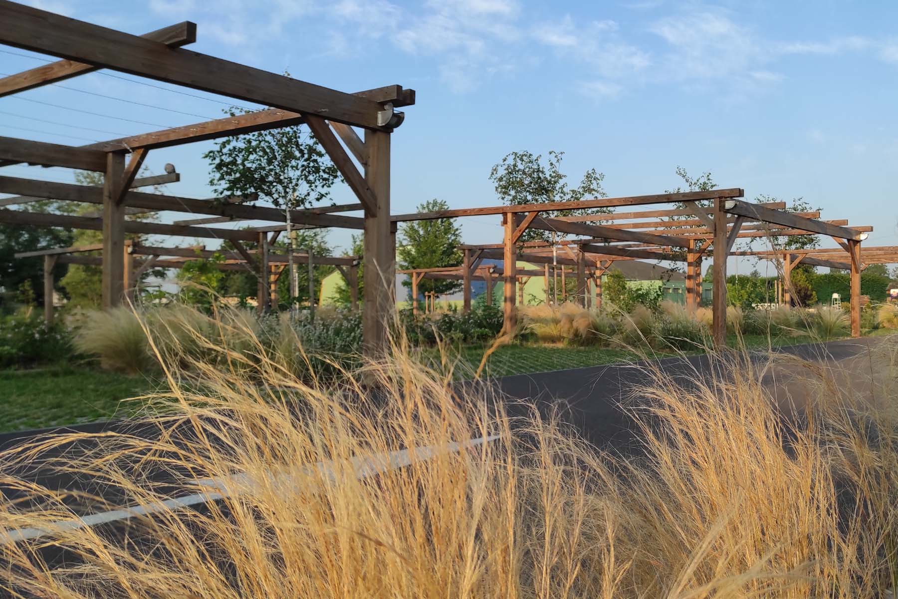 pergola-parking-bois-vegetalisee-moneteau-yonne