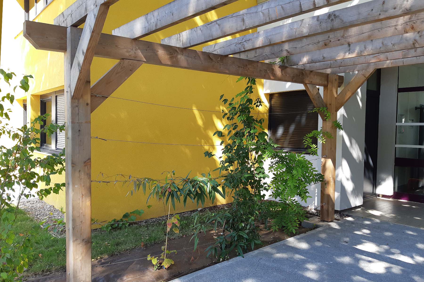 pergola-vegetalisee-groupe-scolaire-cep-seynod
