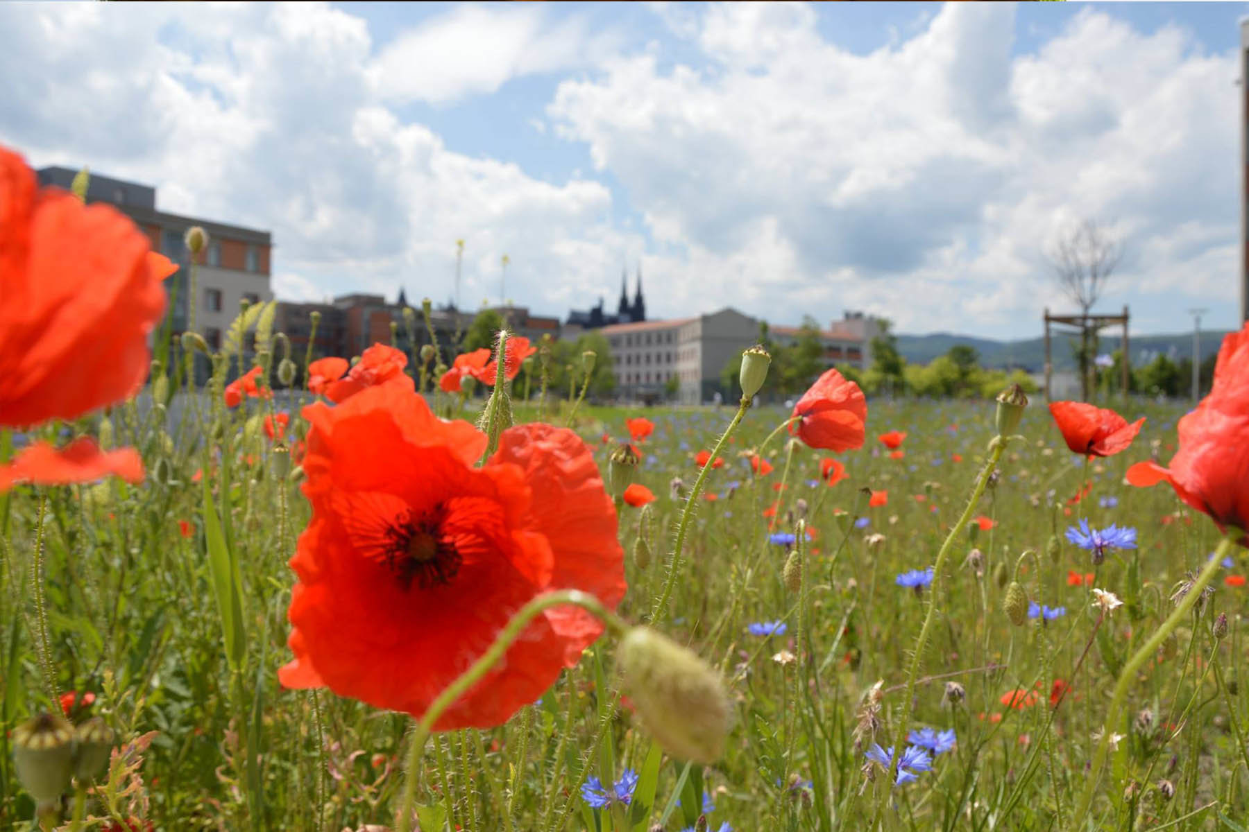 siege-michelin-clermont-ferrand