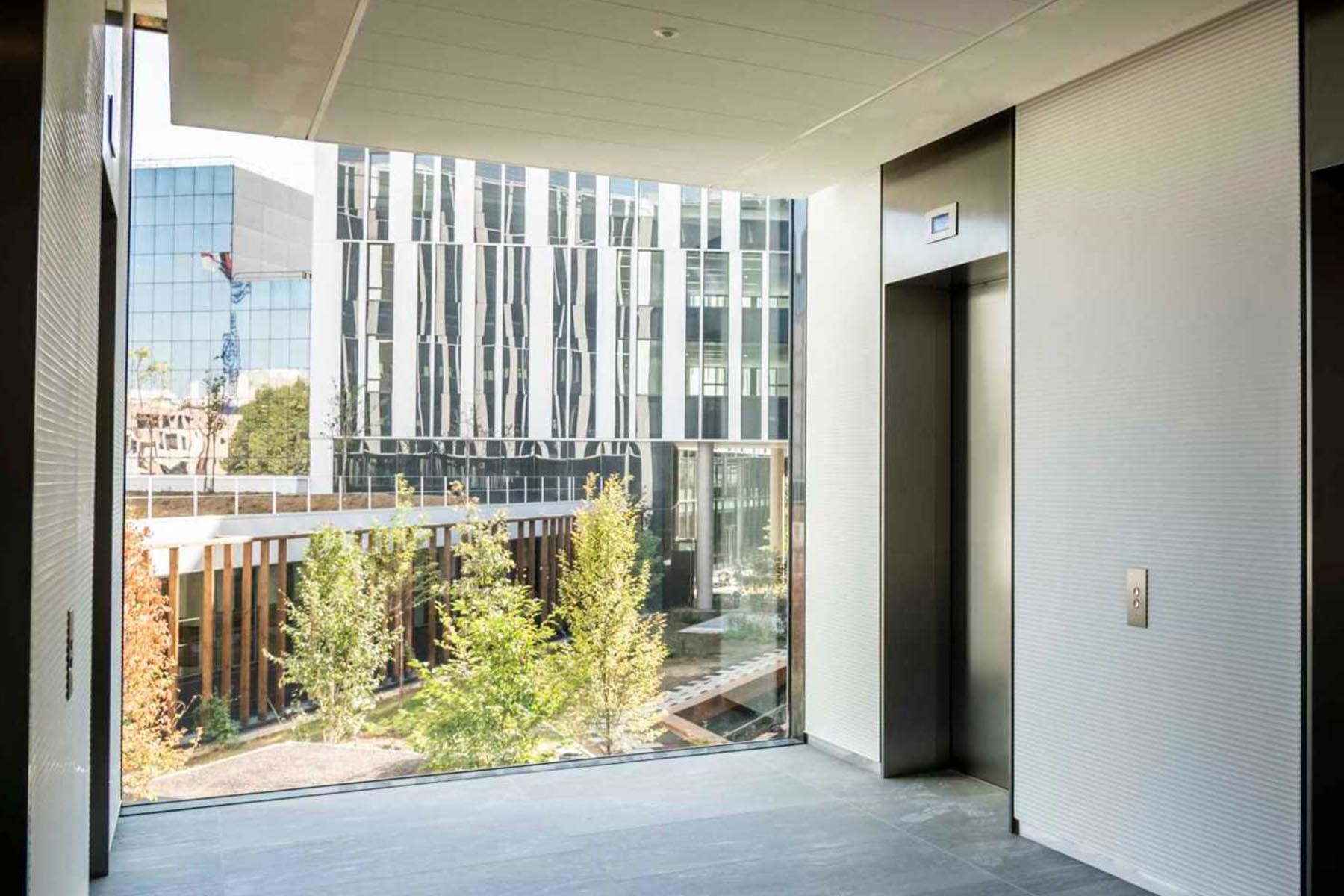 treille-bois-campus-edf-saint-ouen
